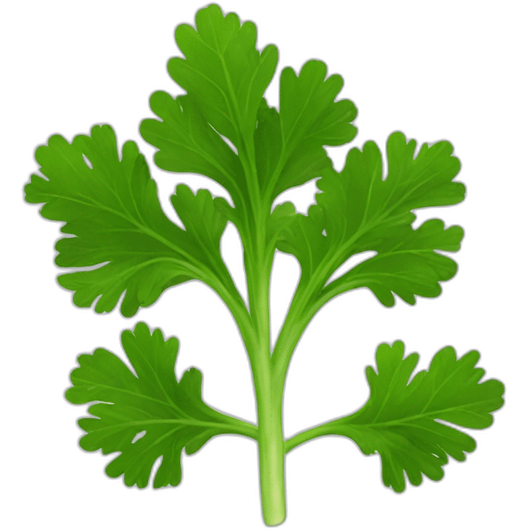 Parsley emoji