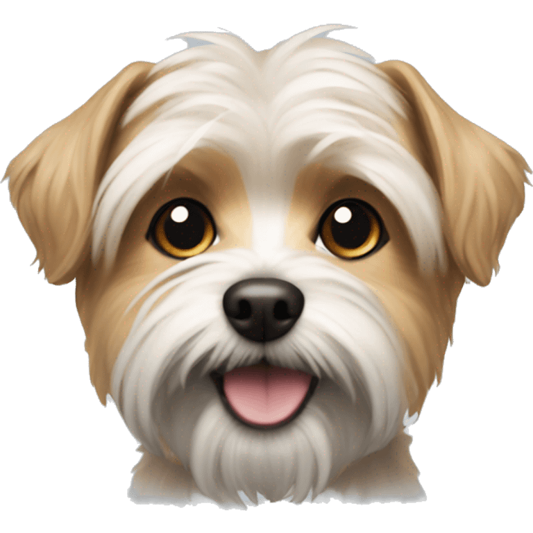 Dog morkie  emoji