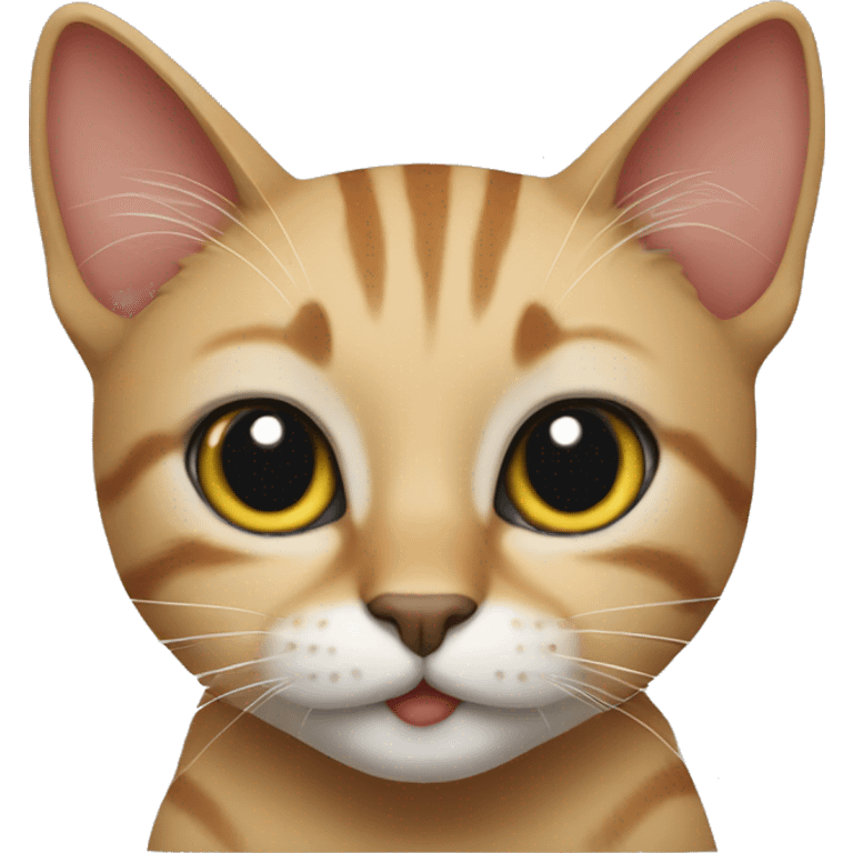 cat bandi emoji