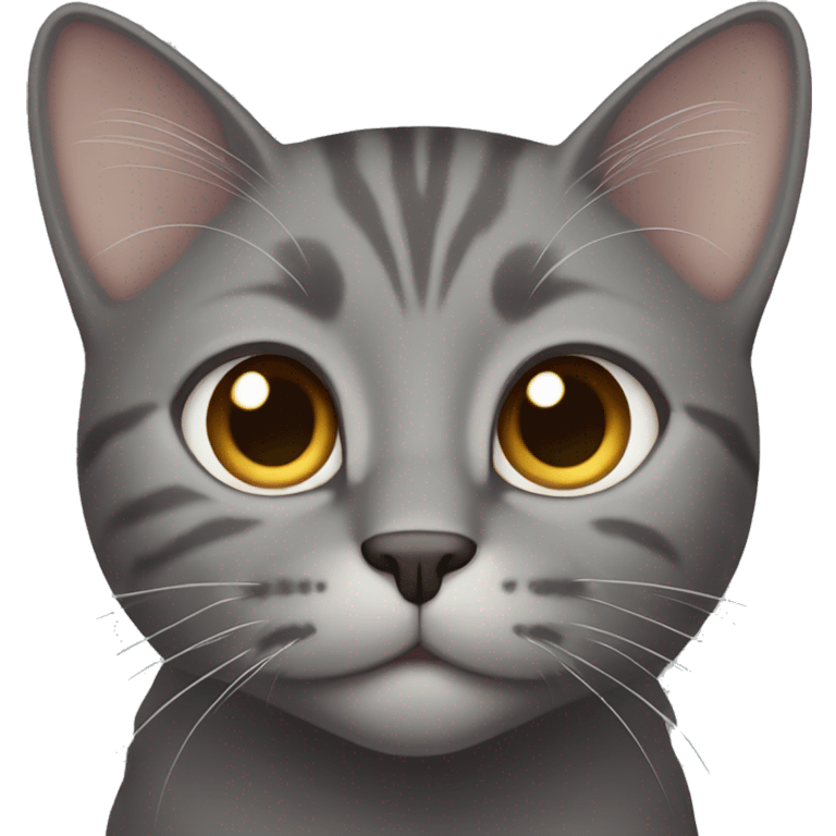 gray cat with light brown eyes emoji