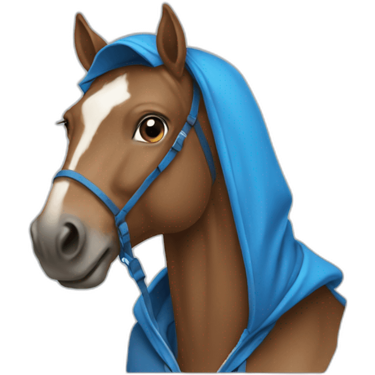 horse wearing blue hoodie emoji