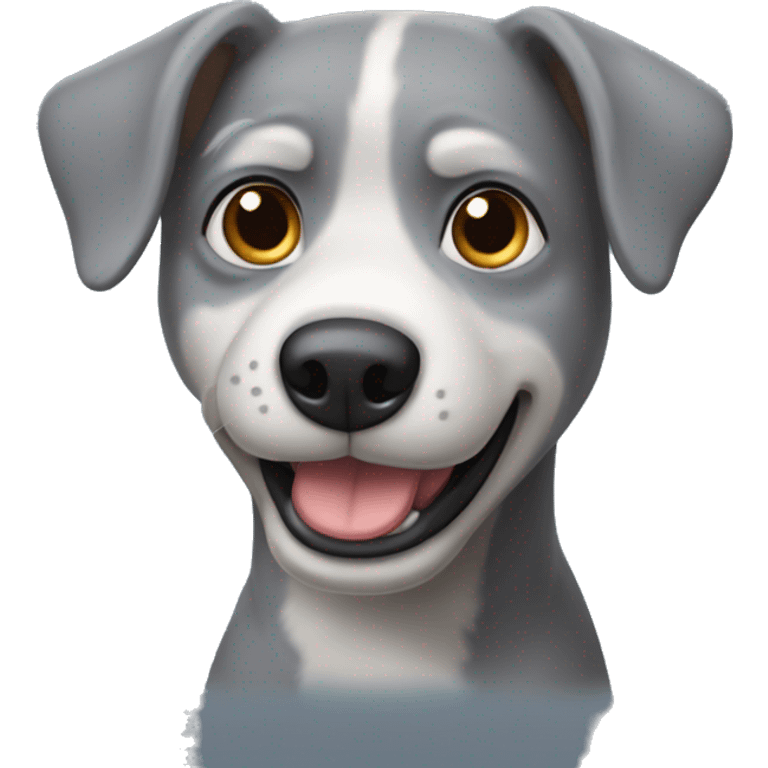 Pedro the gray dog emoji