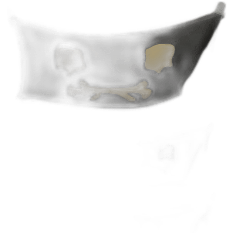 Pirate flag emoji