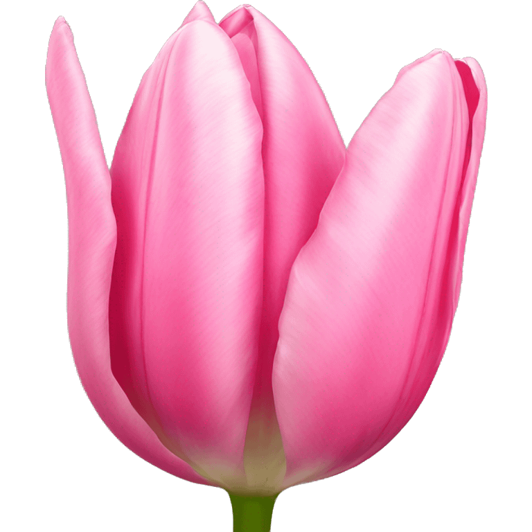 pink tulip emoji