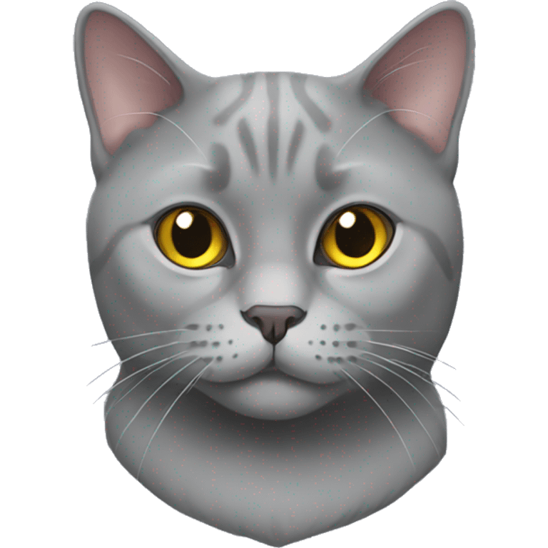 british grey cat  emoji