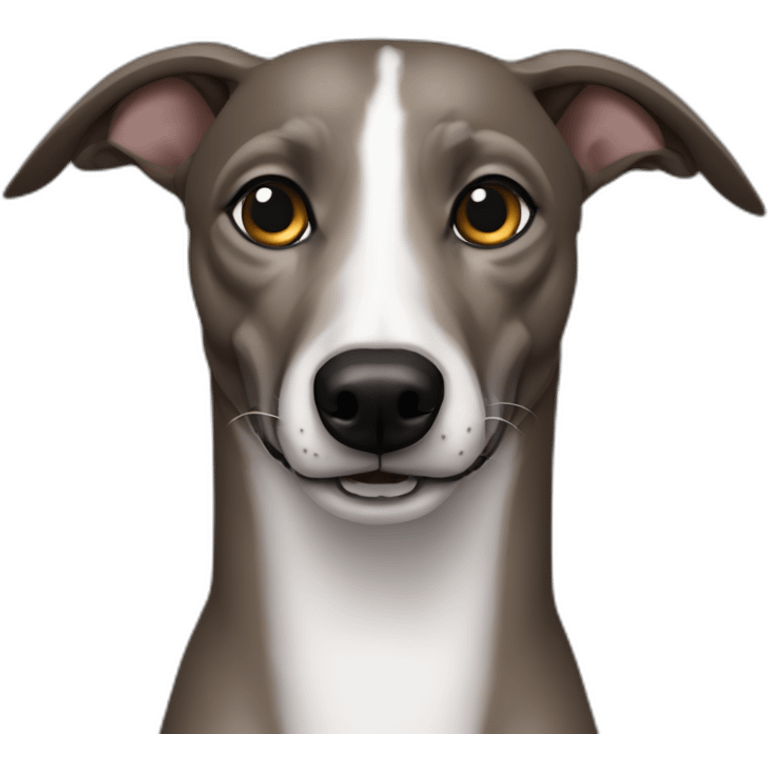 findle brawn whippet one eye dark emoji