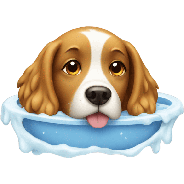 Bathing dog emoji