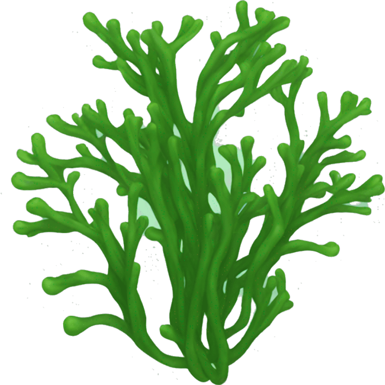 Seaweed emoji