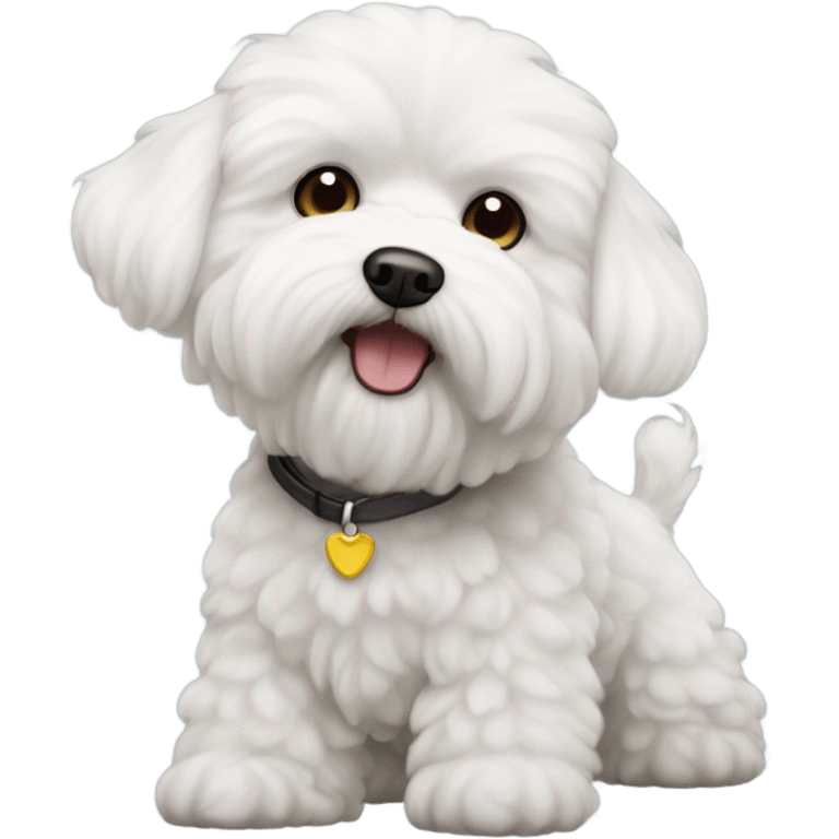 Perro bichon maltés  emoji