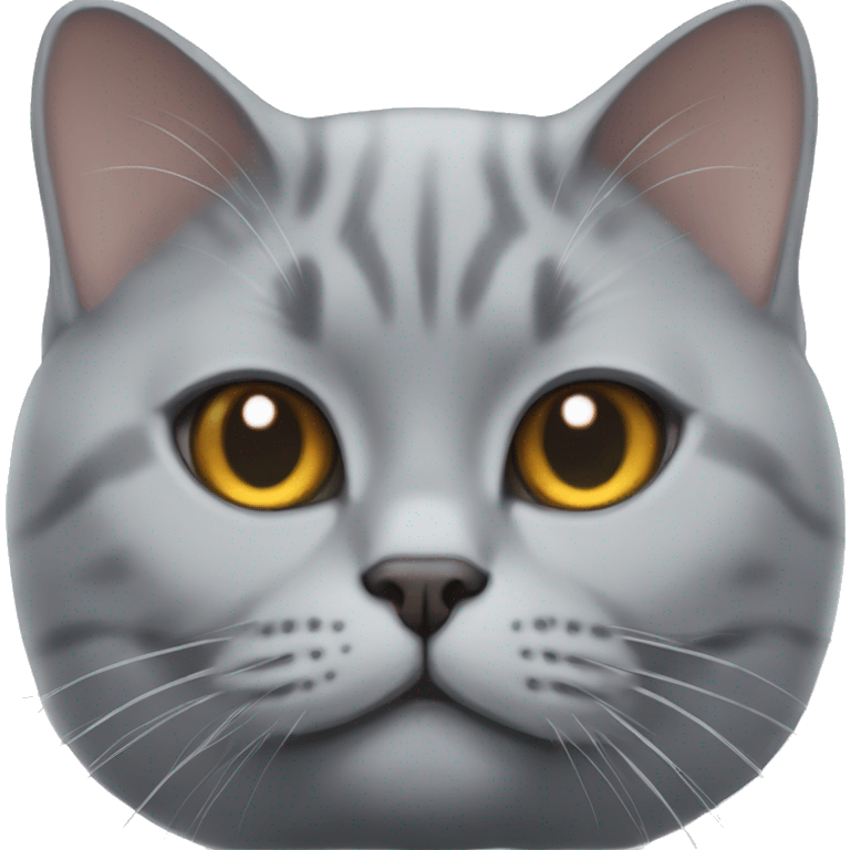 British shorthair cat face emoji