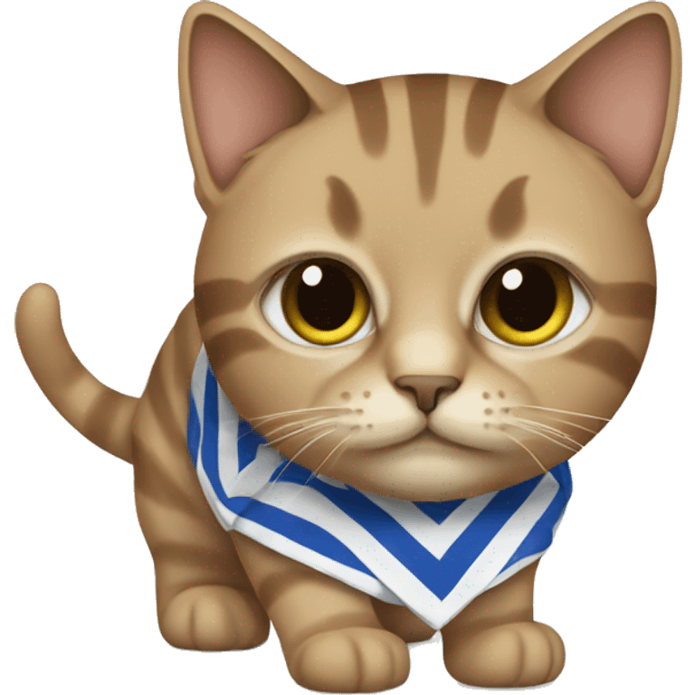 A cat with a Greek shirt  emoji