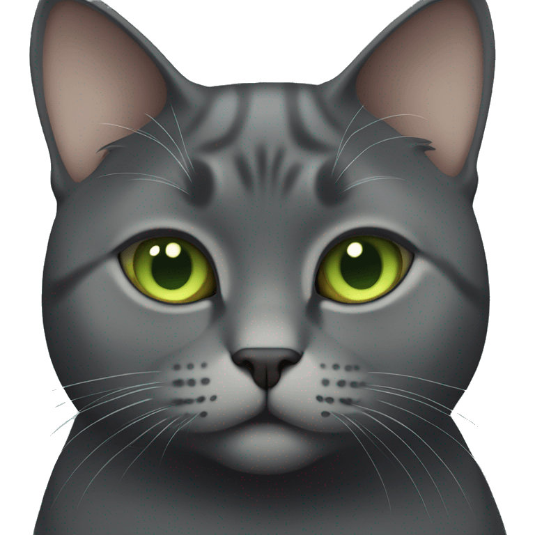  Sitting Fat dark gray short hair cat with light green eyes  emoji