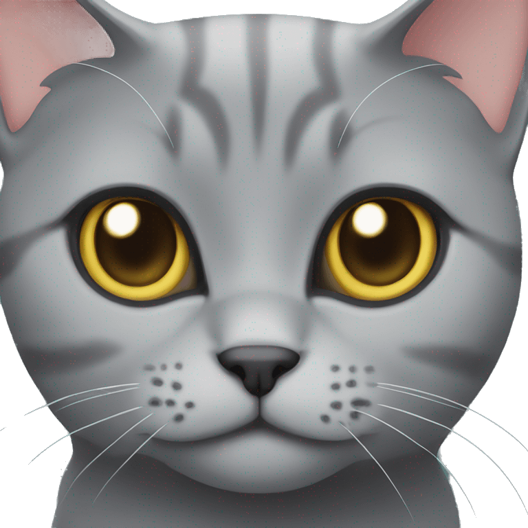 Grey british Short Hair cat  emoji