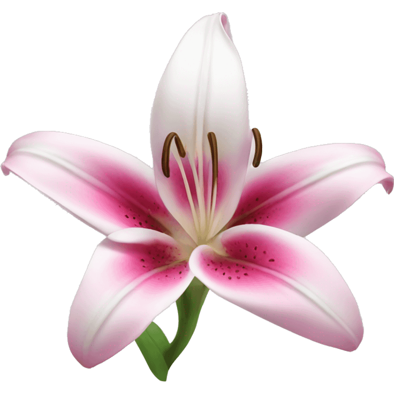 pink white liliy emoji