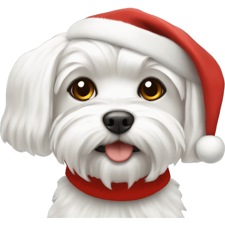 Maltese with Christmas hat  emoji