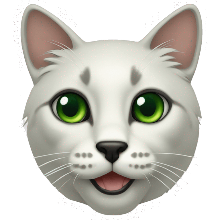 cat kornish rex white with dark green eyes and black nose emoji