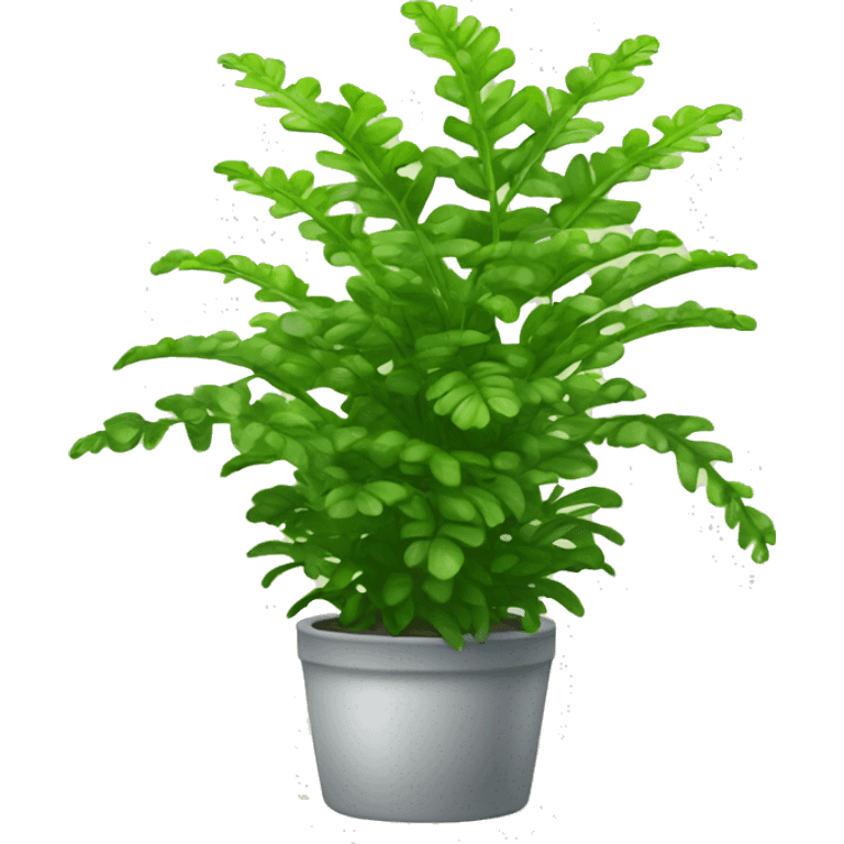 nephrolepis exaltata plant emoji