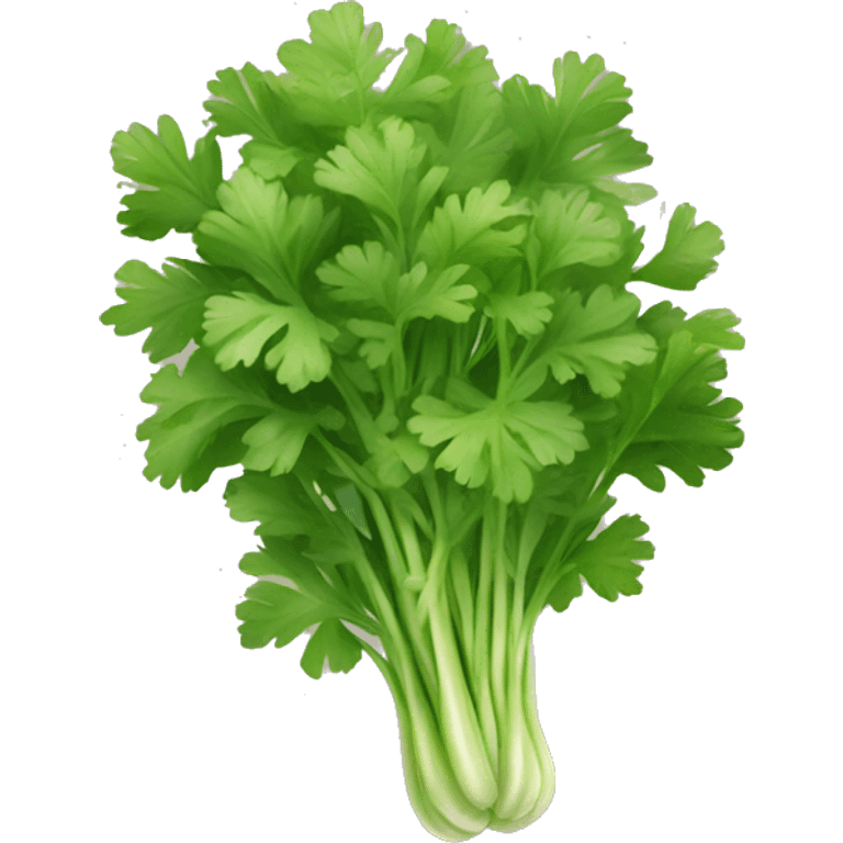 Cilantro emoji