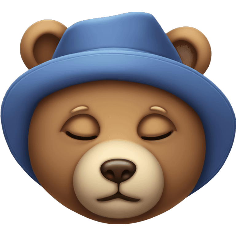 sleepy teddy bear with a night time hat  emoji