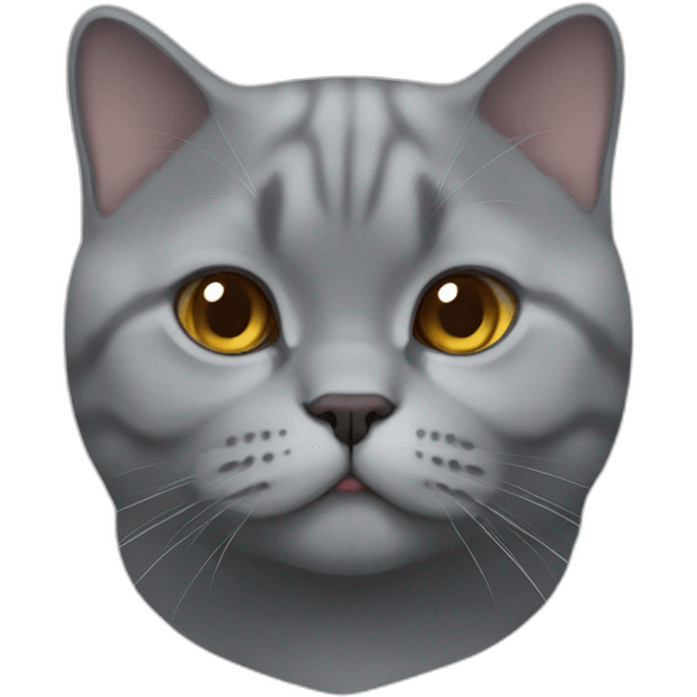 british-shorthair emoji