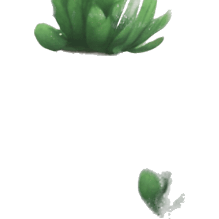 Zebra plant succulent  emoji