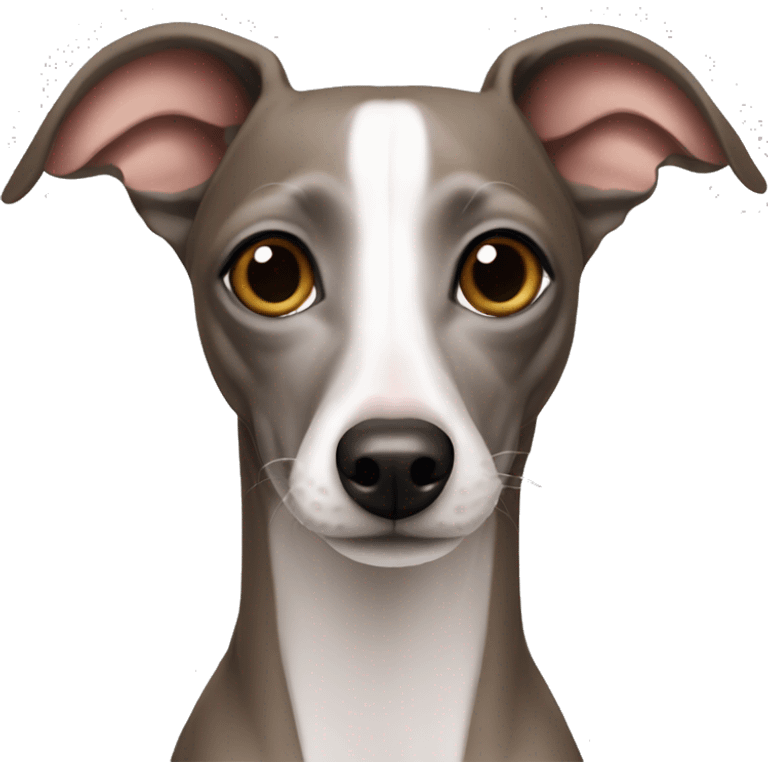 Italian greyhound emoji