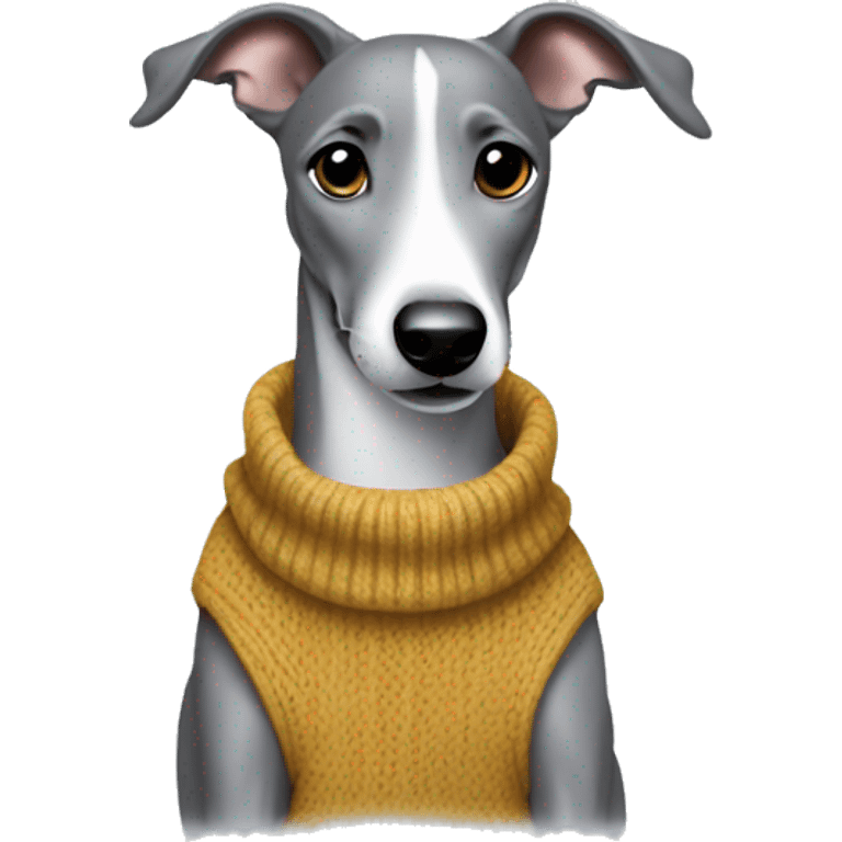 Grey whippet in a jumper playing emoji