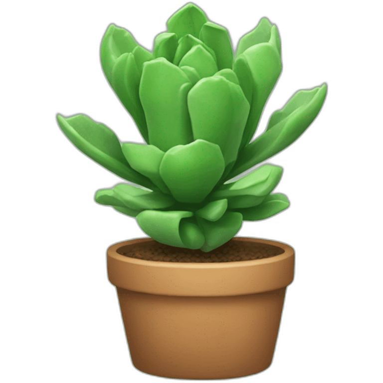 joe court succulent emoji