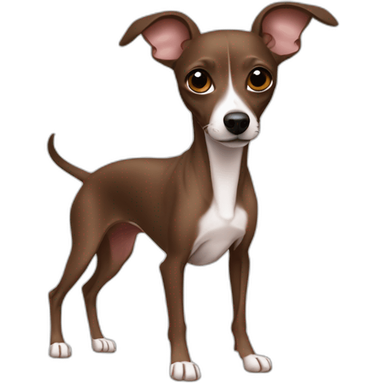 full body all brown no white italian greyhound chihuahua emoji