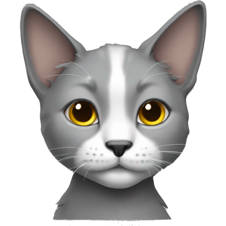 Cat, Grey, long hair, short ears emoji