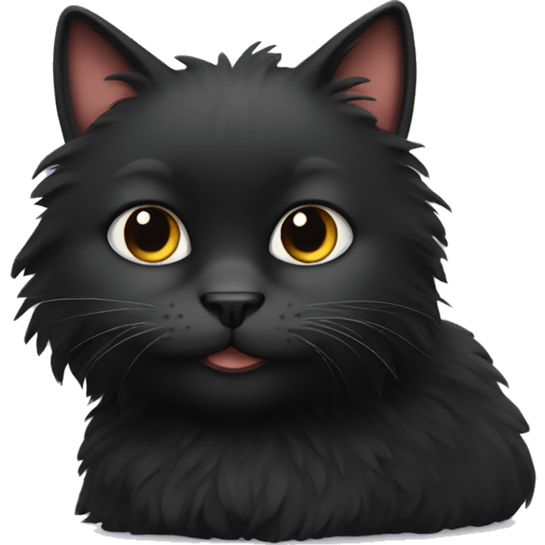 Black fluffy cat  emoji