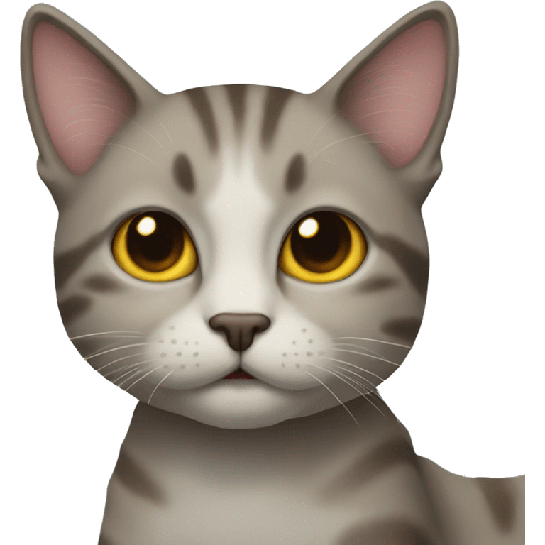 gatto sulla luna  emoji