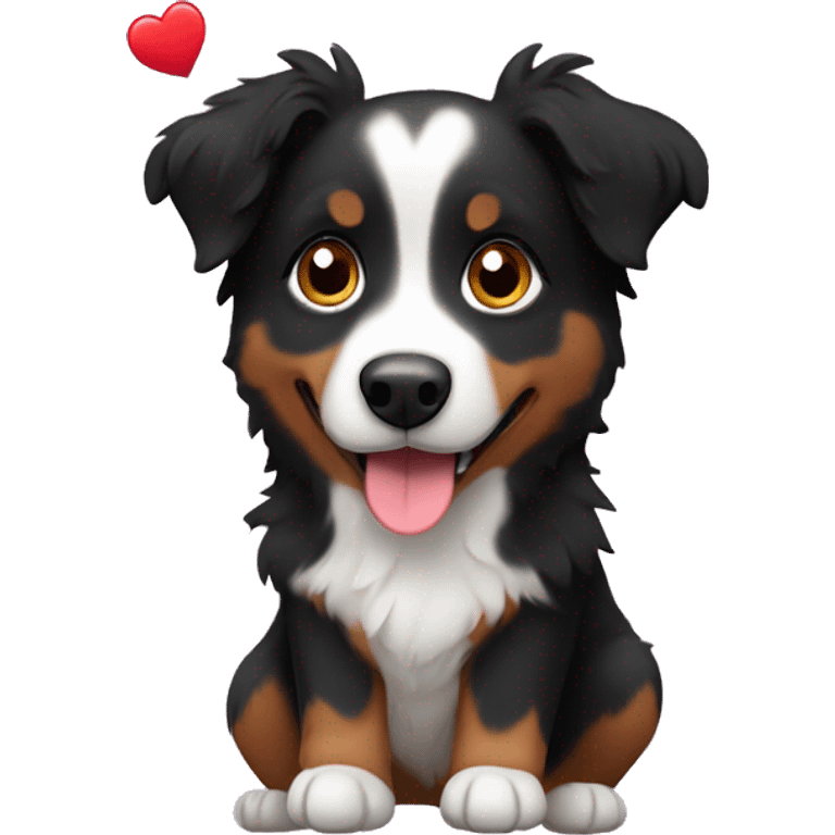 Small black australian shepherd dog with hearts emoji