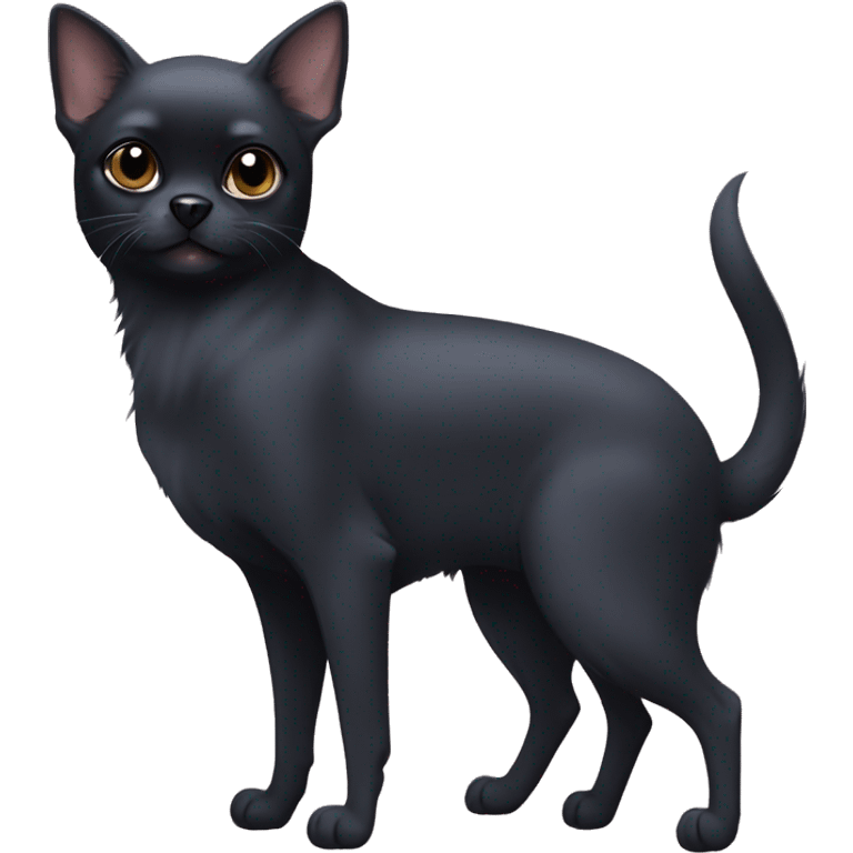 aussian blue cat and two all black chihuahuas emoji