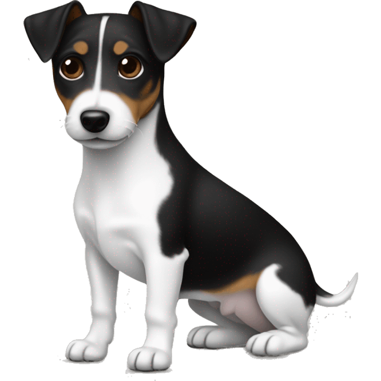 All Black Only Jack Russell Terrier no brown or white  emoji