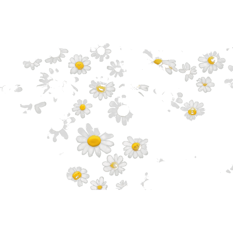 Daisies emoji