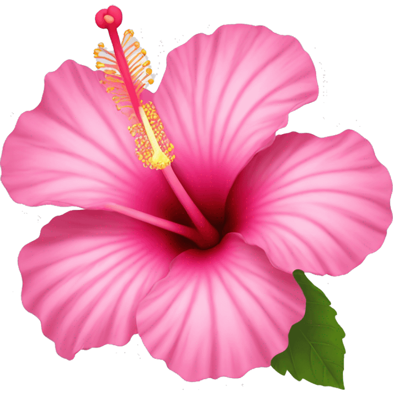 hibiscus flower pink emoji