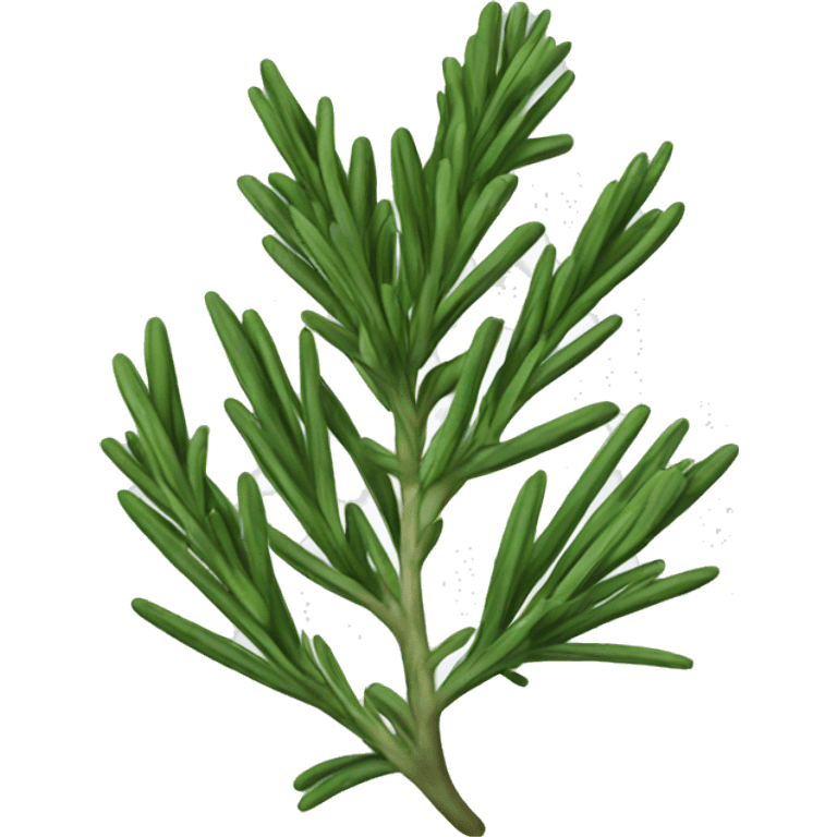 Rosemary emoji