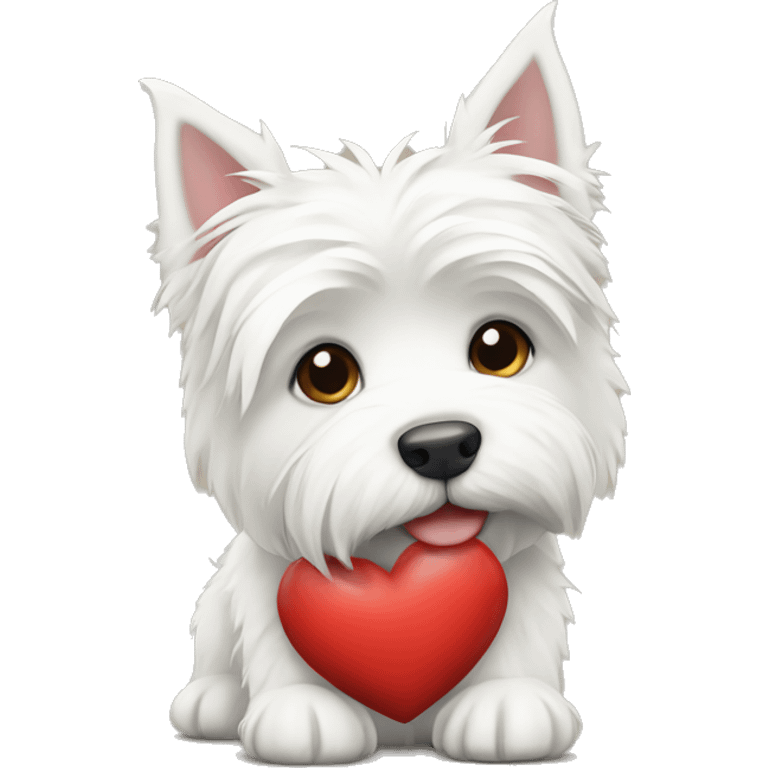 White highland terrier holding a heart emoji