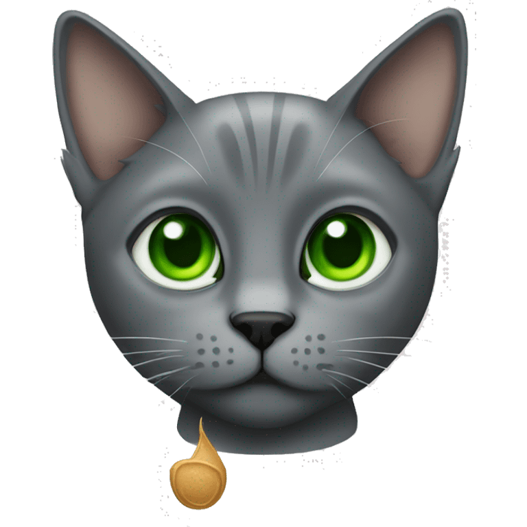 Grey cat with green eyes with a Guinness  emoji