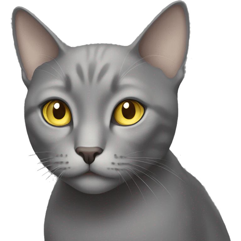 Grey cat with light yellow eyes emoji