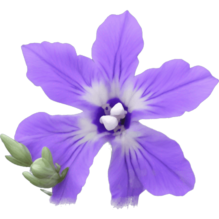 Larkspur pretty flower  emoji