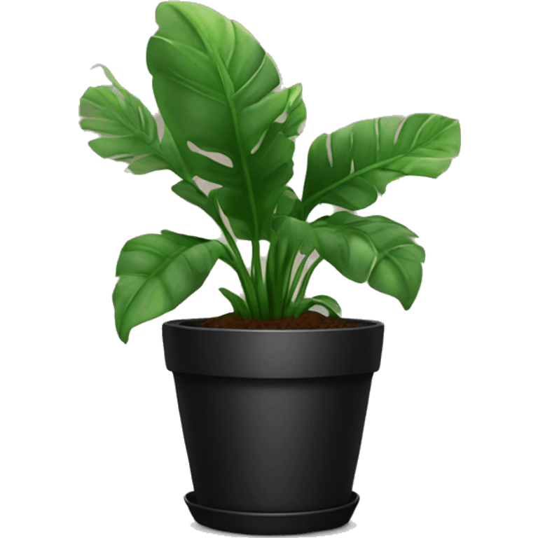 House plant in black flower pot emoji