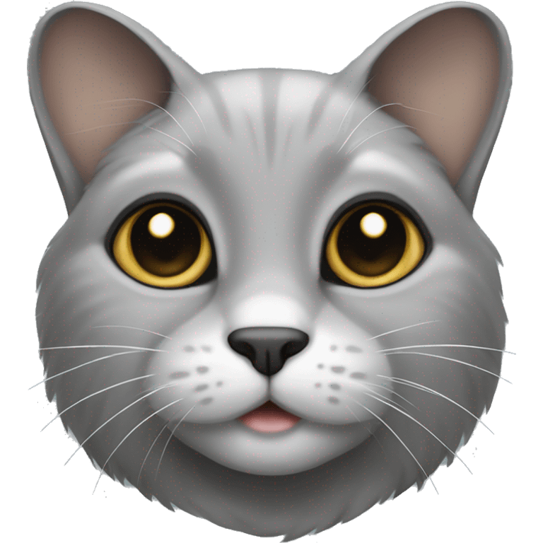 Grey lop-eared cat emoji