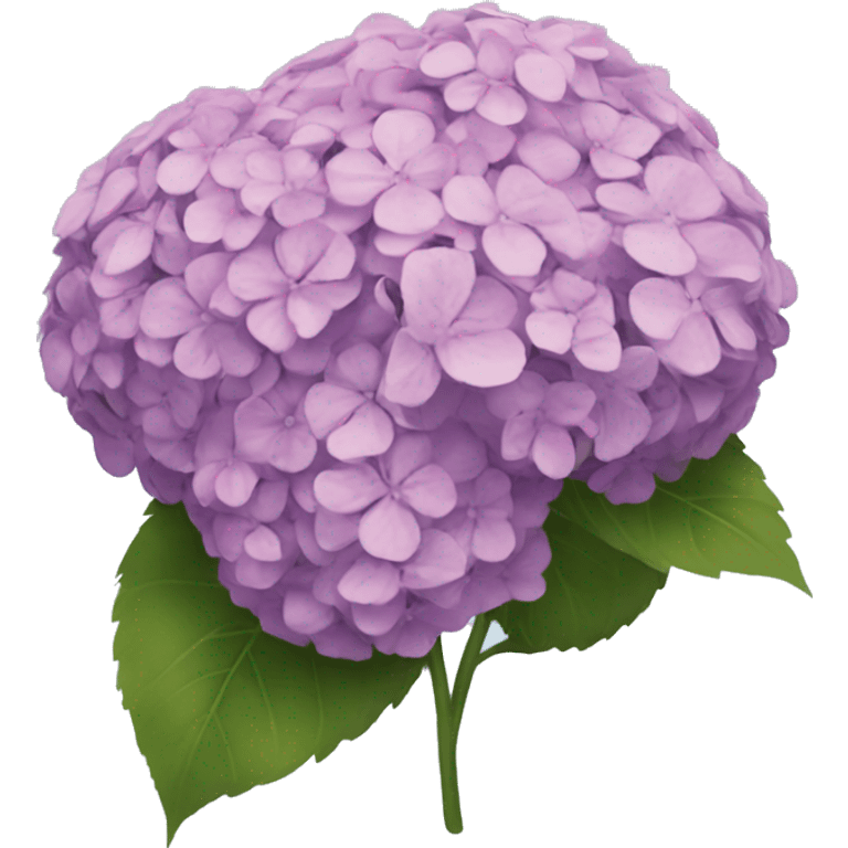 Emoji with the name GHAIDA made with hydrangea flowers emoji