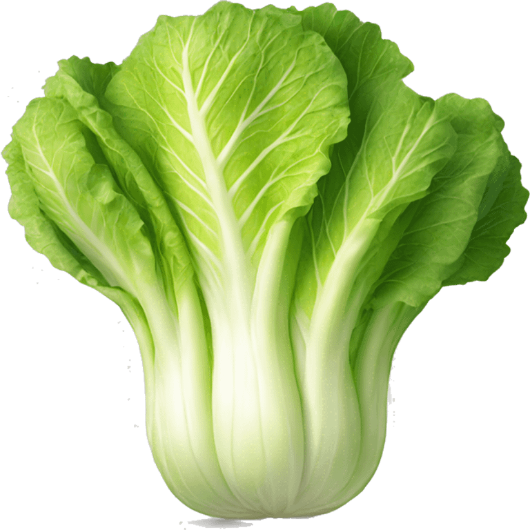 Napa cabbage emoji