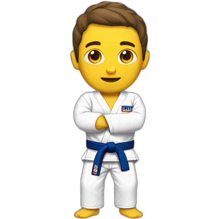 brazilian jiu jitsu emoji