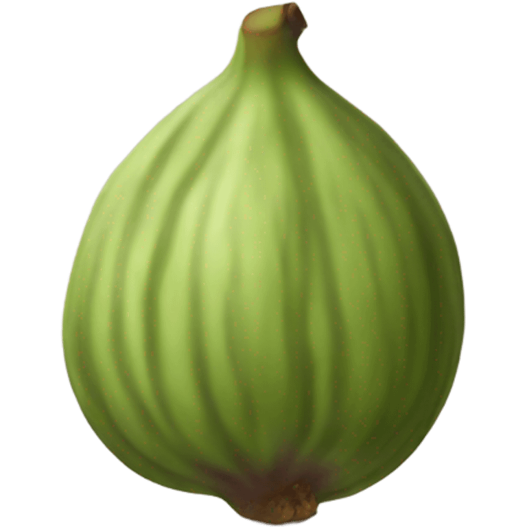 fig emoji