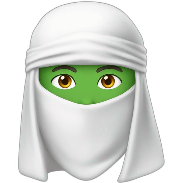 white-ninja-with-a-white-veil-on-his-head,-green-eyes emoji