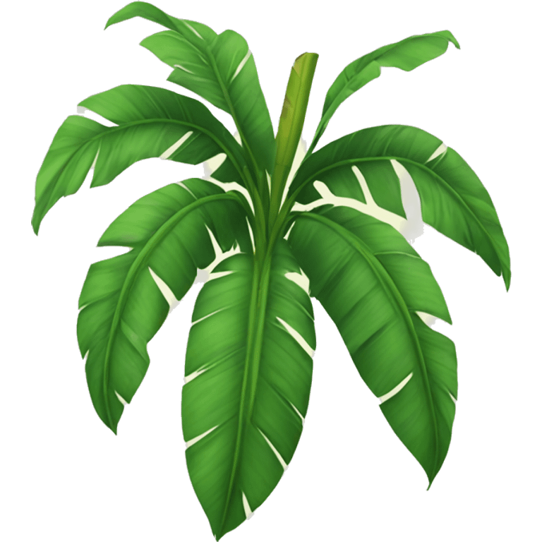 Banana tree leaf emoji